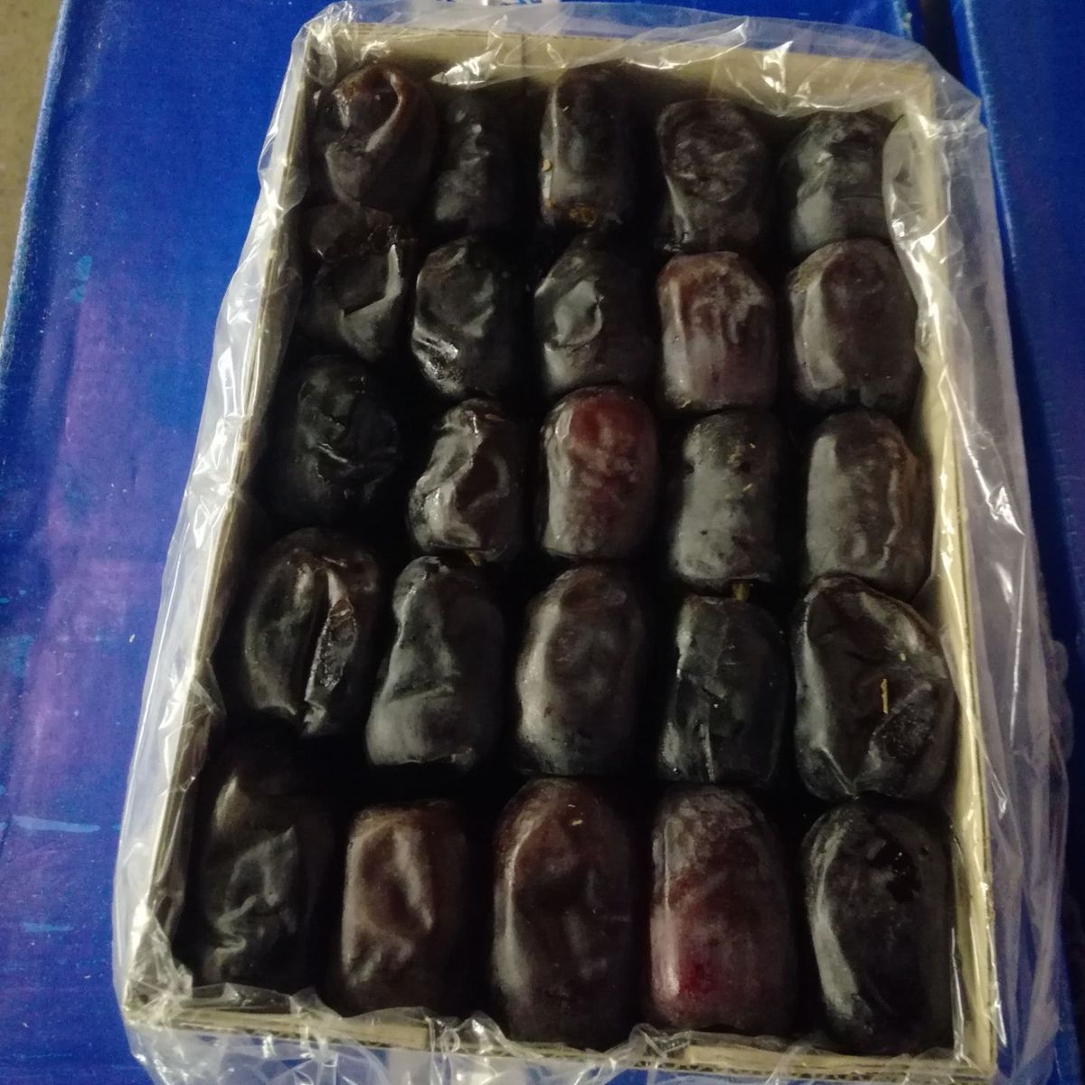 Packed Mazafati dates in an export tray