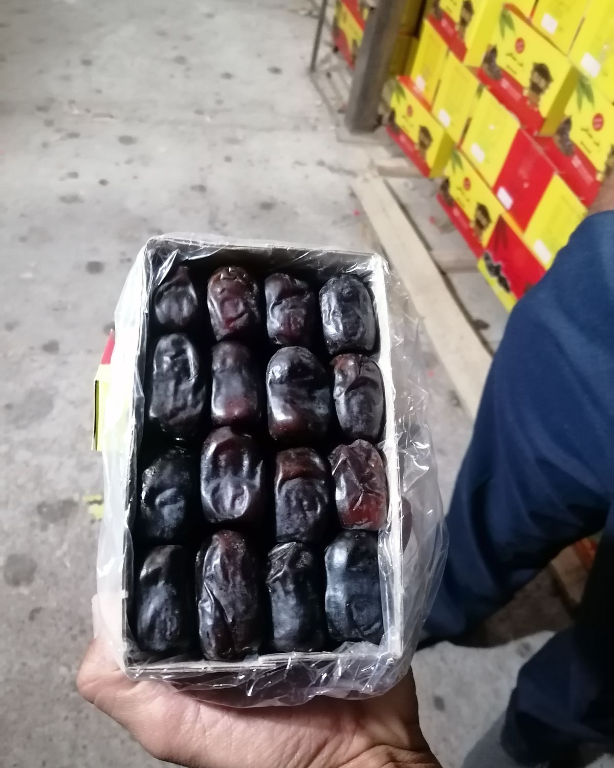Hand holding a tray of Mazafati dates in daylight