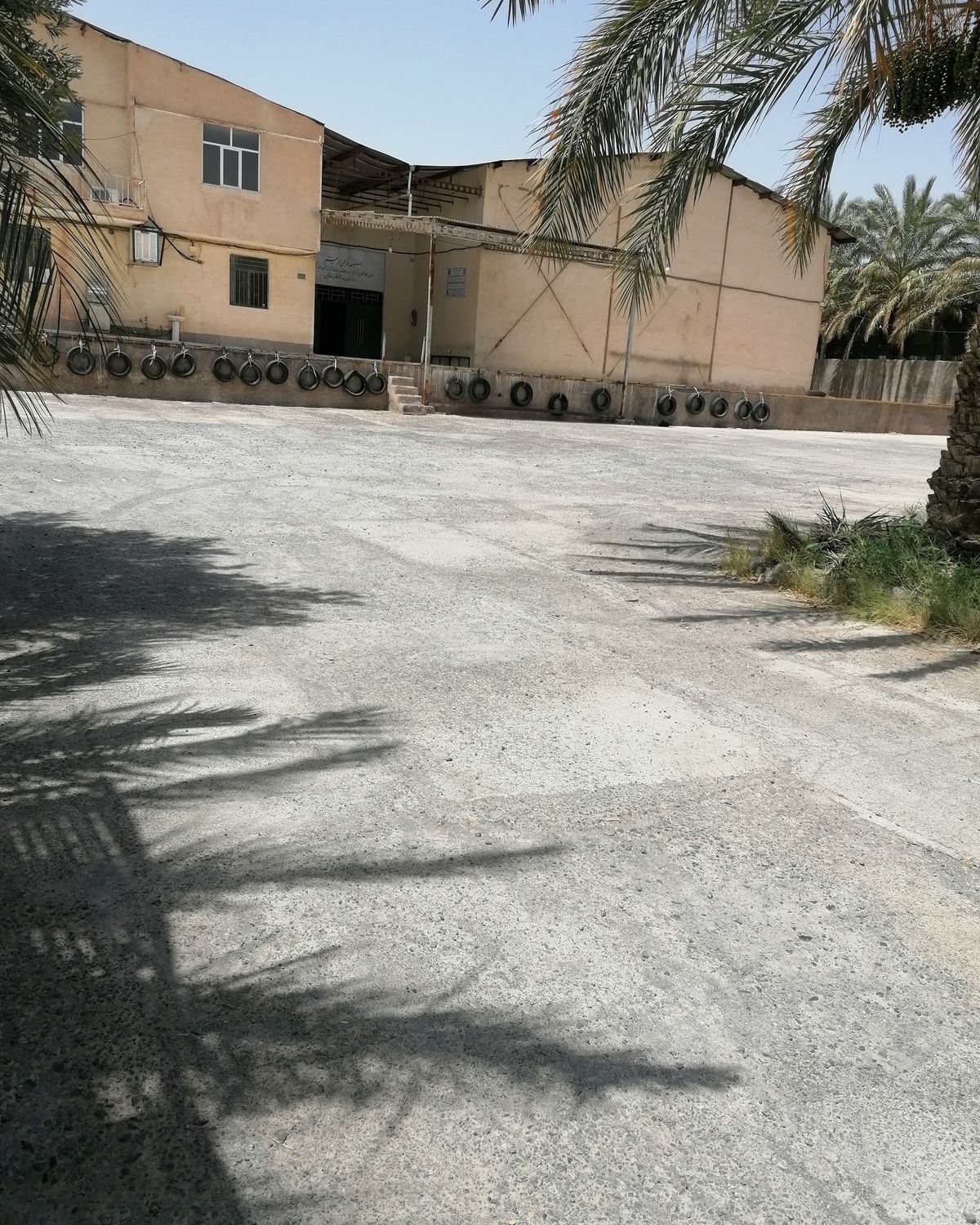 Facility building and yard with date palms